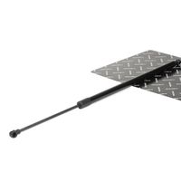 RIDEX 219G0134 - Muelle neumático, maletero/compartimento de carga