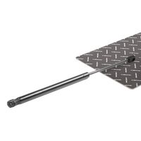 RIDEX 219G0197 - Muelle neumático, maletero/compartimento de carga