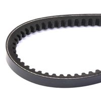 RIDEX 10C0060 - Correa trapezoidal