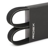 RIDEX 305P0034 - Correa trapecial poli V