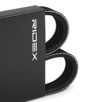RIDEX 305P0015 - Correa trapecial poli V