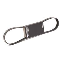 RIDEX 305P0049 - Correa trapecial poli V
