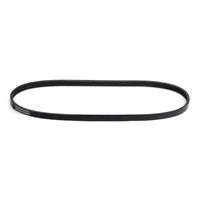 RIDEX 305P0124 - Correa trapecial poli V