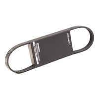 RIDEX 305P0301 - Correa trapecial poli V