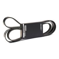 RIDEX 305P0178 - Correa trapecial poli V