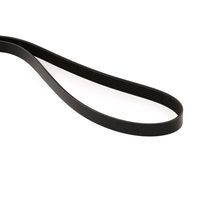 RIDEX 305B0286 - Correa trapecial poli V