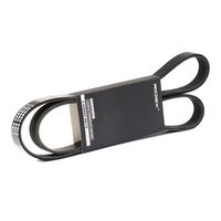 RIDEX 305P0182 - Correa trapecial poli V