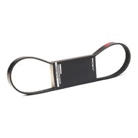 RIDEX 305P0358 - Correa trapecial poli V
