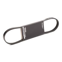 RIDEX 305P0251 - Correa trapecial poli V