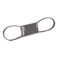 RIDEX 305P0369 - Correa trapecial poli V