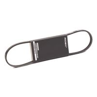 RIDEX 305P0381 - Correa trapecial poli V