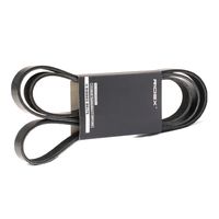 RIDEX 305P0379 - Correa trapecial poli V