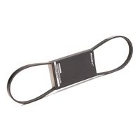 RIDEX 305P0376 - Correa trapecial poli V