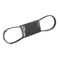 RIDEX 305P0351 - Correa trapecial poli V