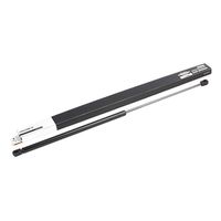 RIDEX 514G0100 - Muelle neumático, capó de motor