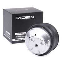 RIDEX 247E0213 - Soporte, motor