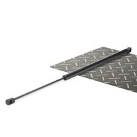 RIDEX 219G0130 - Muelle neumático, maletero/compartimento de carga