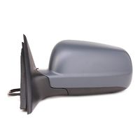 RIDEX 50O0097 - Retrovisor exterior