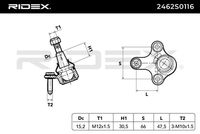 RIDEX 2462S0116 - Rótula de suspensión/carga
