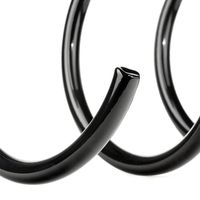 RIDEX 188C0371 - Muelle de suspensión