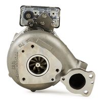 RIDEX 2234C0339 - Turbocompresor, sobrealimentación