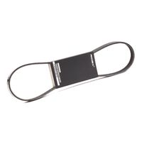RIDEX 305P0329 - Correa trapecial poli V