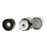 RIDEX 542R0020 - Juego de correas trapeciales poli V