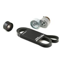 RIDEX 542R0020 - Juego de correas trapeciales poli V