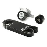 RIDEX 542R0032 - Juego de correas trapeciales poli V