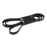 RIDEX 305P0371 - Correa trapecial poli V