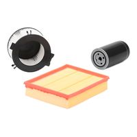 RIDEX 4055F0013 - Juego de filtro