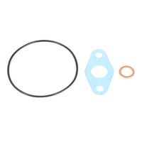 RIDEX 4973C0029 - Conjunto de piezas, turbocompresor