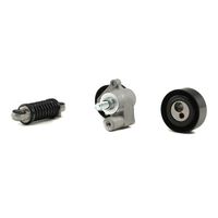 RIDEX 542R0065 - Juego de correas trapeciales poli V