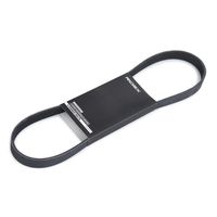 RIDEX 305P0487 - Correa trapecial poli V