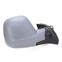 RIDEX 50O1090 - Retrovisor exterior