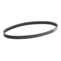 RIDEX 305P0502 - Correa trapecial poli V