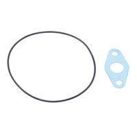 RIDEX 4973C0121 - Conjunto de piezas, turbocompresor