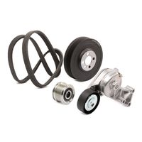 RIDEX 542R0899 - Juego de correas trapeciales poli V