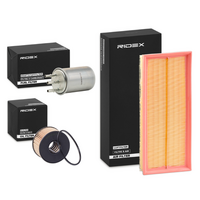 RIDEX 8A0013 - Filtro de aire