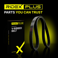 RIDEX 305P0087P - Correa trapecial poli V