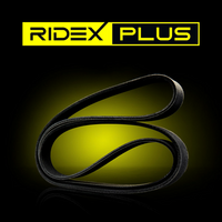 RIDEX 305P0115P - Correa trapecial poli V