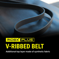 RIDEX 305P0434P - Correa trapecial poli V