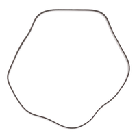 RIDEX 305P0080P - Correa trapecial poli V
