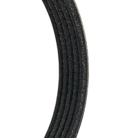 RIDEX 305P0336P - Correa trapecial poli V