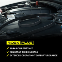 RIDEX 306T0062P - Correa dentada
