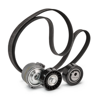 RIDEX 542R0002P - Juego de correas trapeciales poli V