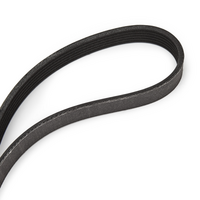 RIDEX 542R0002P - Juego de correas trapeciales poli V