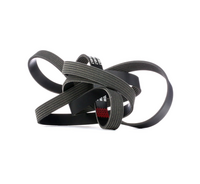 RIDEX 542R1202 - Juego de correas trapeciales poli V