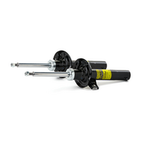 RIDEX 854S1731P - Amortiguador