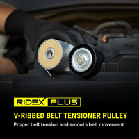 RIDEX 310T0059P - Polea tensora, correa poli V